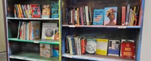 Books on colorful bookshelves