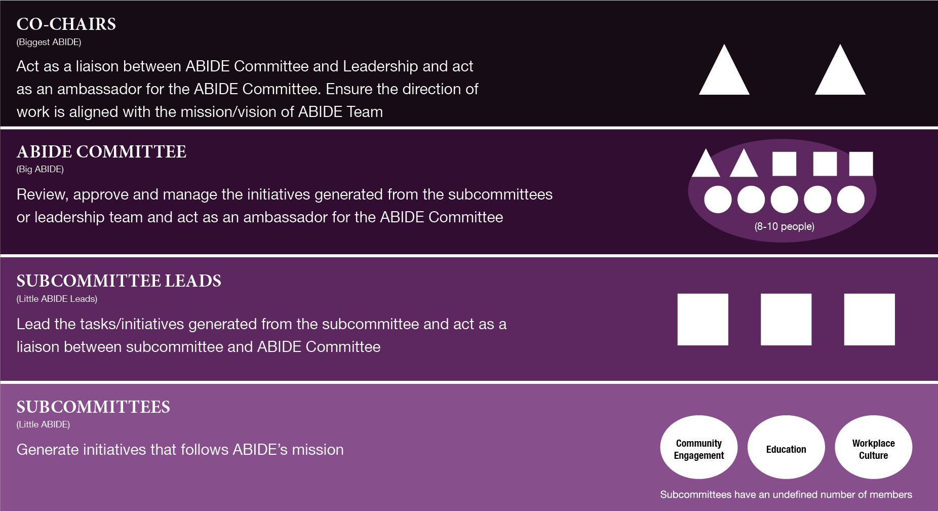 Structure Graphic A graphic explaining the ABIDE Team structure